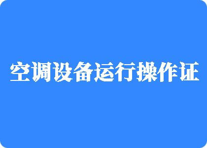 鸡巴怼逼逼视频制冷工证