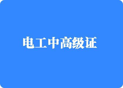 国内外草逼吧电工中高级证